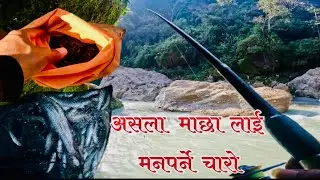 Himalayan snow trout fishing🎣🎣🎣 in nepal // pokhara//