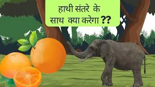 हाथी संतरा खायेगा या कुछ नया होगा ? |elephant funny video||baby elephant funny ||elephant reaction