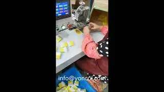 Paint Brush Wool Filament Dividing Machine - Yoncol