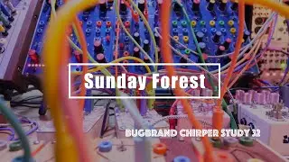 Bugbrand Chirper Study 32/ Sunday Forest