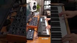 The Weeknd - Blinding Lights (Prophet REV2 + Novation LaunchKey 61 MK4) #synth #musicproducer