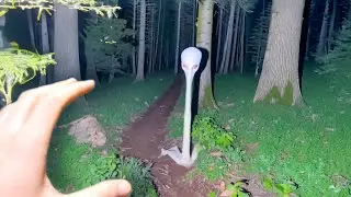 он не перестанет меня преследовать..
