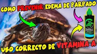 COMO USAR LA VITAMINA A EN TORTUGAS