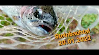 Steinbachtal 20.01.2022 Ловля форели на платном озере в Германии.