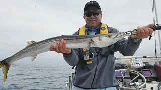 An Intro to Socal Saltwater Fly Fishing: A San Diego Perspective