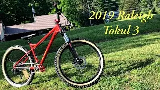 Мои 8 месяцев пилотирования Raleigh Tokul 3 2019 года