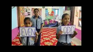Activity on Odd and Even numbers 🌺