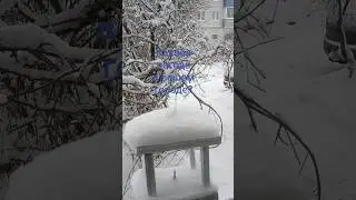 Погода Рязань -1 снег, снег, снеееег/