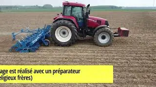 Semis de betterave en strip till - 2024