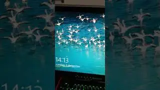 Windows 10 update Problems December 2017