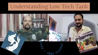 Discussion on Low Tech Tanks | Aquatic Zone With Happy Fins & Nature