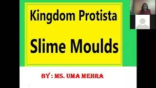 Kingdom- Protista #neet #biologicalclassification #medicalexam #biology