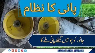 Automatic Water System for Dairy Farms | Complete Setup & Benefits Explained