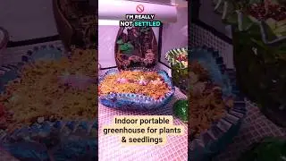 Indoor portable greenhouse for plants & seedlings