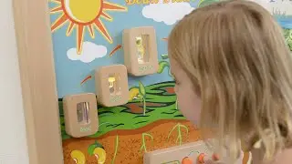 Light up Life Cycles Learning Boards - Masterkidz Wall Elements