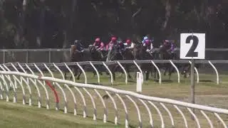 Mick Binney and Diamanda - Picnic Racing Legends