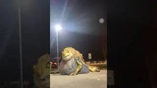 Fear, Thrill, and Adventure: Hunting Great Jagras in Real Life
