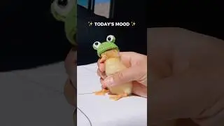 У меня куча классных шорт!