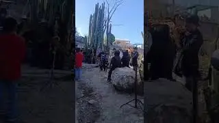 #banda de yerba santa