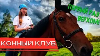 ПЕРВЫЙ РАЗ ВЕРХОМ! МЕЧТЫ СБЫВАЮТСЯ! Конный клуб 