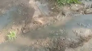 Finally Aaj apni chhoti kheti mein Pani Kar Diya