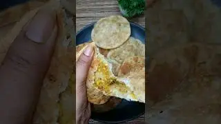 Kachori Lover #shorts #kachori #india #love #food #indianfood