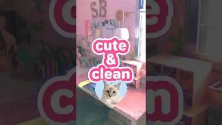 Color Explosion Cleanup &ndash; So Satisfying! #cute #clean #colorful