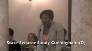 Senate Debates Budget