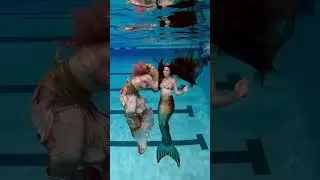 Swimming with mermaids!!! I&rsquo;m HOOKED! 😏🧜🏻&zwj;♀️🪝#mermaid #thelittlemermaid #mertailor