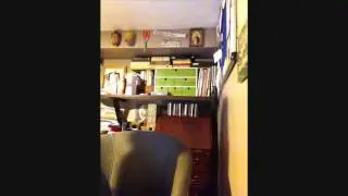 THE THOMAS GRAY AUDITION TAPES