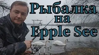 Активная рыбалка🎣 на Epple See клюнула плотва #рыбалка #angeln #fishing #p&ecirc;che #pescado #see #плотва