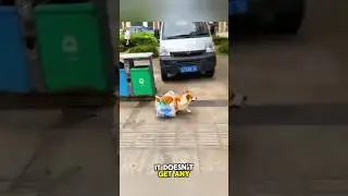 The Struggle of an Innocent Dog 😱 #shocking #heartwarming #shorts