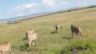 Tour safari after medical camp in Kericho(2)