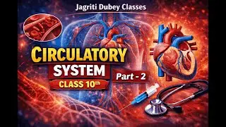 Circulatory System_Part 2_Cardiac Cycle_ECG_Blood pressure_Stroke Volume
