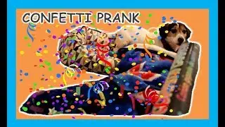 CONFETTI PRANK ON THE FAMILY - QUINNBOYSTV