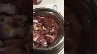 6 months Siberian husky Piebald first time eating Raw food 🥘 #shorts  #shortsvideo  #viral  #trend