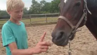 VD en NH met Andorra