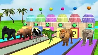 Animal Fountain Elephant lion tiger cow crossing water fountain game | Sarswa Cartoon live 226