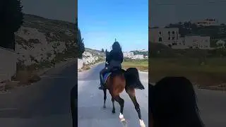Girl Galloping Horse #horse #horsegirl #horseriders