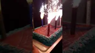 Elardi zveki neka 1 rodendan