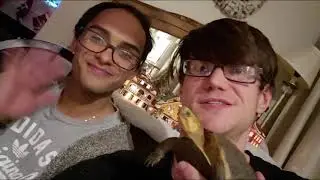 Happy Holidays from theTurtleRoom