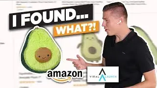 Amazon FBA Product Research Tutorial 2020 - Viral Launch Product Discovery For Beginners
