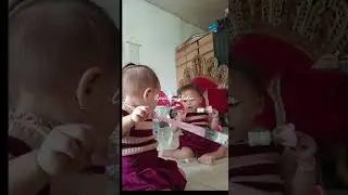 Twins dpt bunga