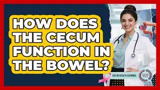 How Does The Cecum Function In The Bowel?