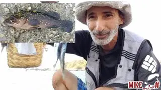 معلومات عن كيفيّة صيد وتطعيم سمك اللقز #مع_Mike