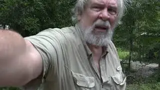 Master Hughes nearly taken out by falling tree
