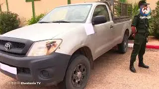 غرداية..إسترجاع 26 رأس غنم في بلديو سبسب وتوقيف المتورطين