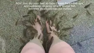 POV, you dip your feet at Cebu Ocean Park&rsquo;s fish spa. #FishSpaExperience #cebuoceanpark #fishspa