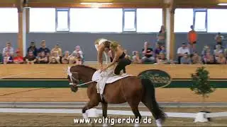 RC Wildegg (AUT) - CVI3 Squad 01 - CVI Ebreichsdorf 2017