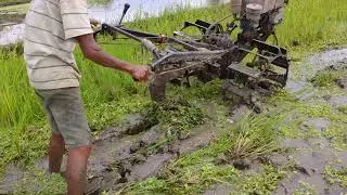 membajak sawah dengan capung #tractormania #tractorvideo #extrastock #tractorindonesia